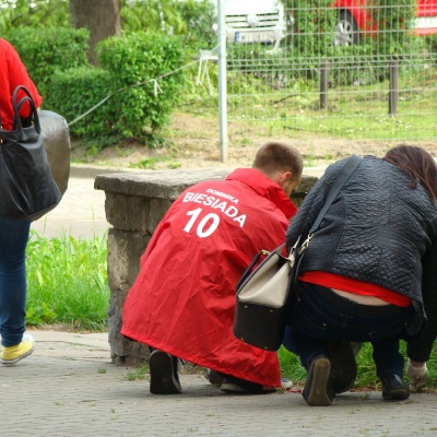 Sprzątanie Świata